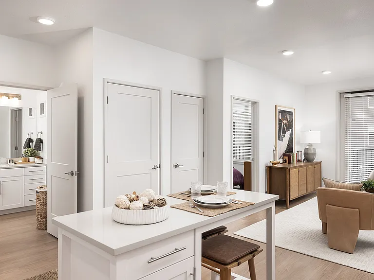 Kitchen and Living Room