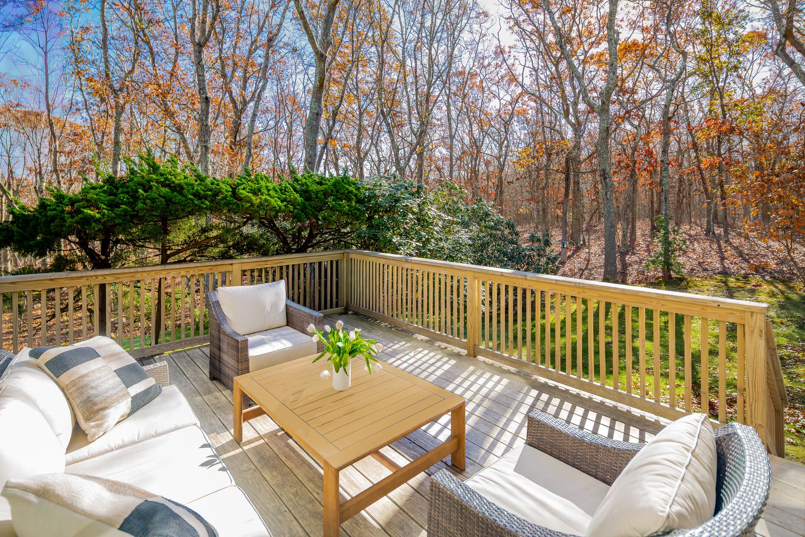  Rear Deck Overlooking Reserve