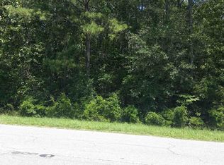 2533 Pine St, Pelion, SC 29123