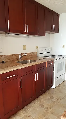 1419 Dominis St #802 Photo 1