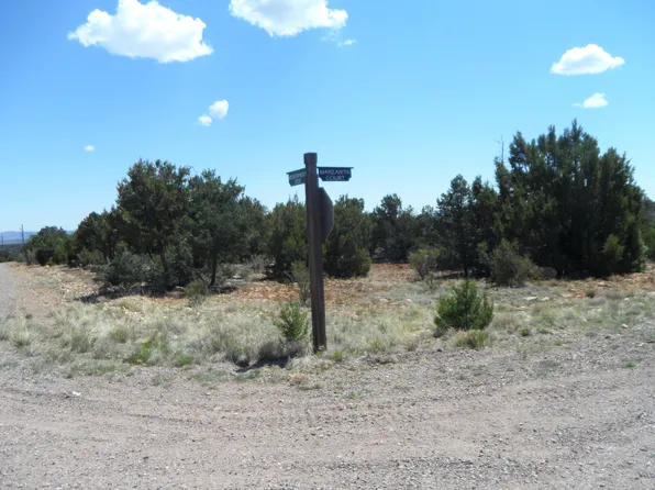 7856 Manzanita Ct, Happy Jack, AZ 86024