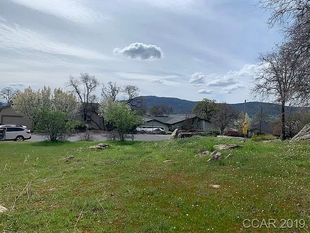 567 Live Oak Dr photo 1