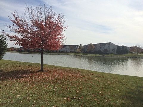 Breathtaking lake view