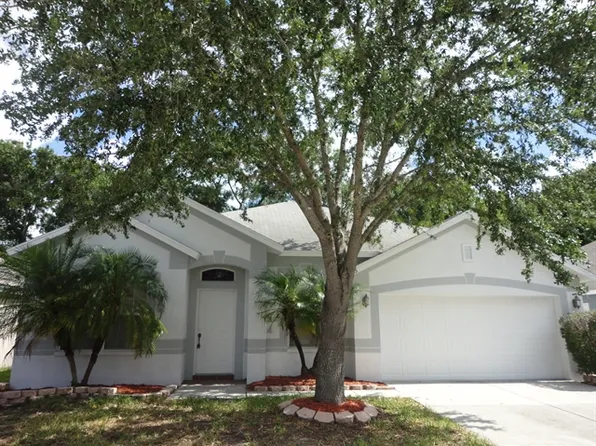 8845 Cypress Hammock Dr, Tampa, FL 33614