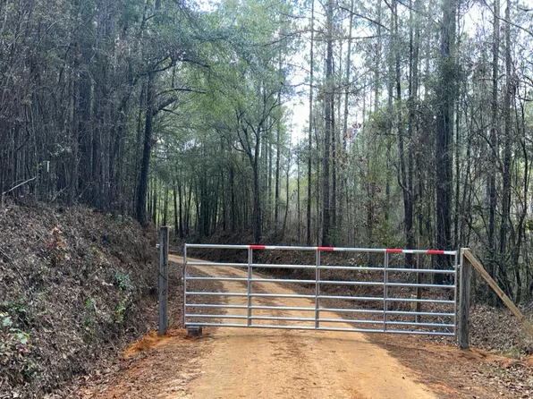 875 Smith Rd, Grove Hill, AL 36451