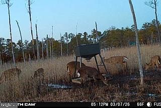 3rd image of 7 Mount Vernon Rd