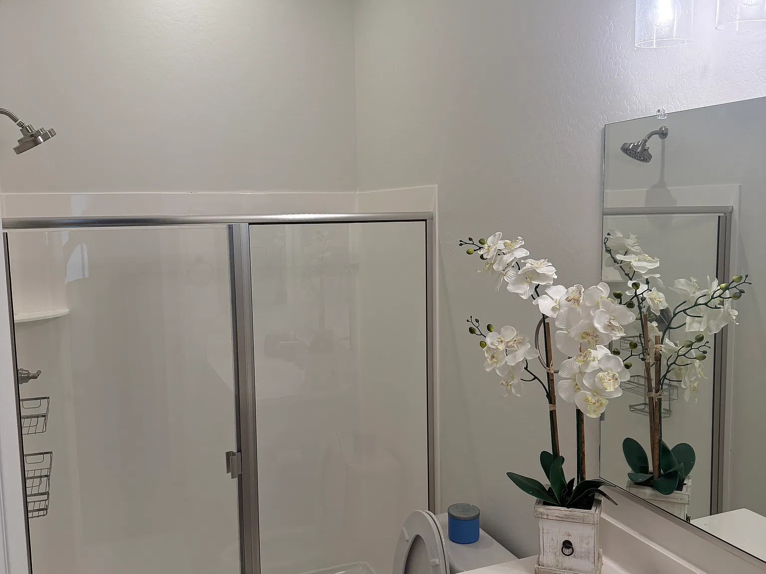 Studio, 600 sqft, $1,200 — Photo 3