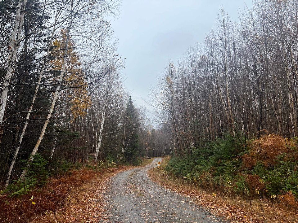 2nd image of - Hudson Road