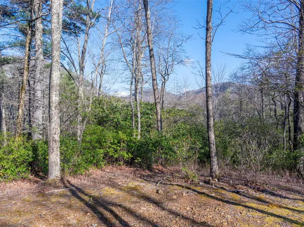TRP 1 Cardinal Drive West, Lake Toxaway, NC 28747
