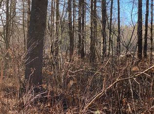 199 Elm Lake Rd LOT 2, Speculator, NY 12164