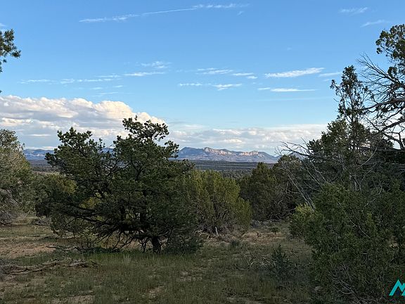 2nd image of 136 Ponderosa View Loop #18