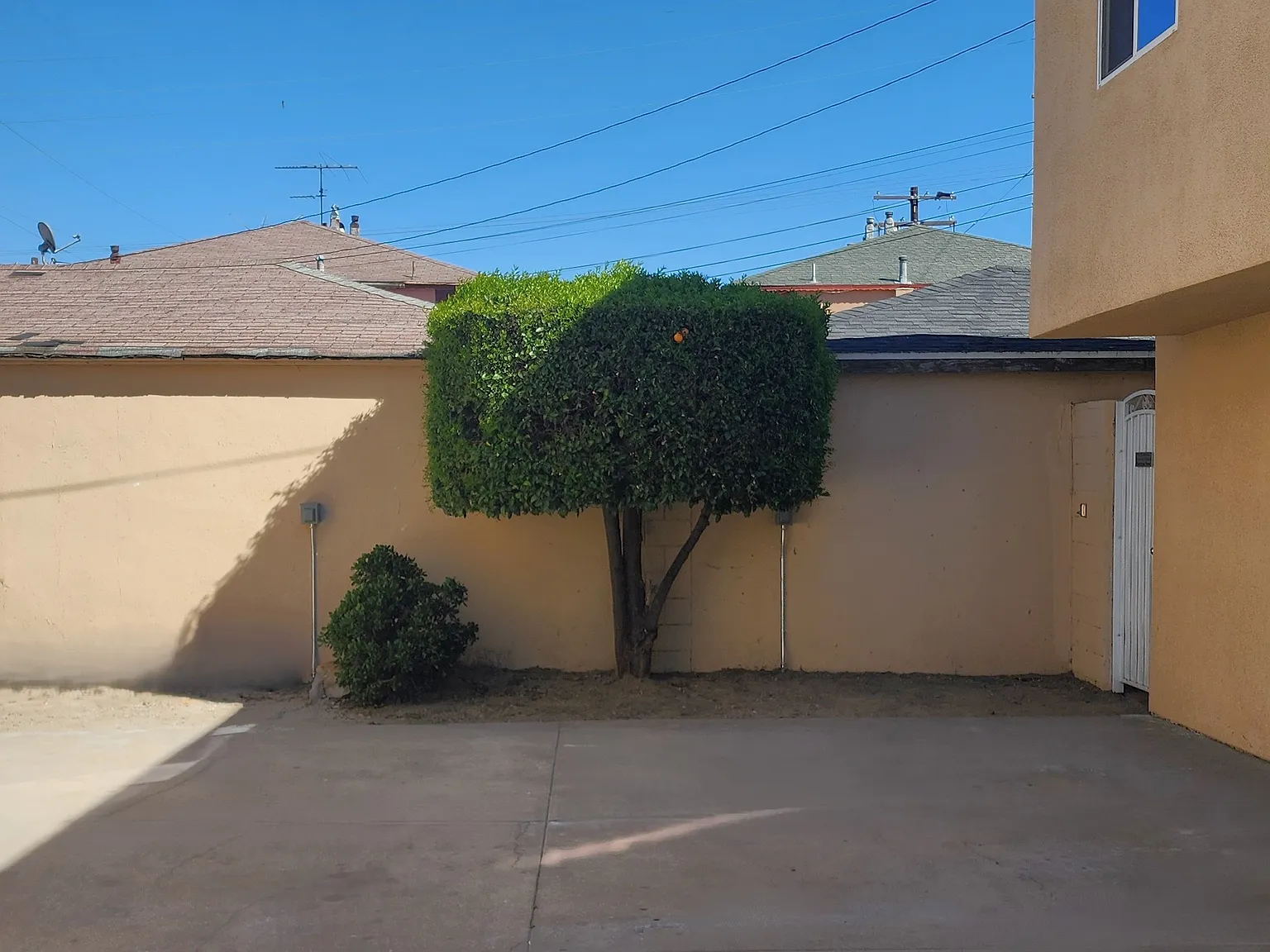 2 bed, 672 sqft, $2,595 — Photo 3