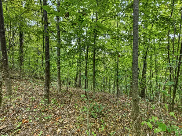 31 Timber Ridge Ln #Phase Ii, Celina, TN 38551