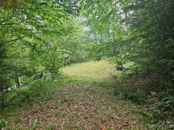 32 Peaceful Ln, Clyde, NC 28721