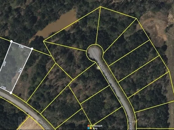 185 Gadson Dr, Fayetteville, GA 30214