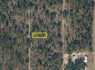132 Pine Way LOT 46, Interlachen, FL 32148
