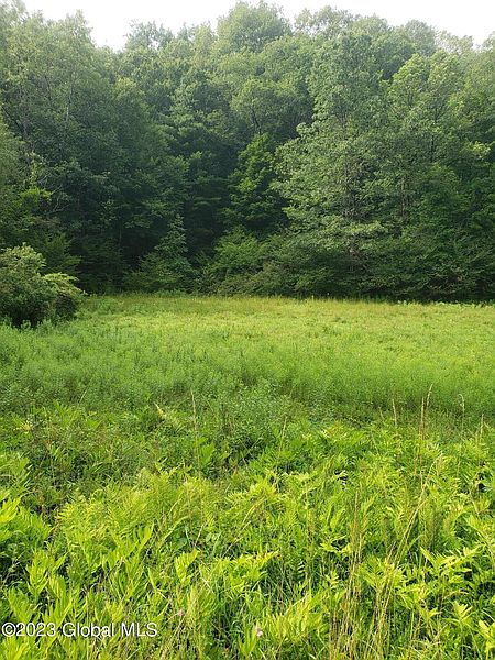 3rd image of L44 Kinderhook Ln