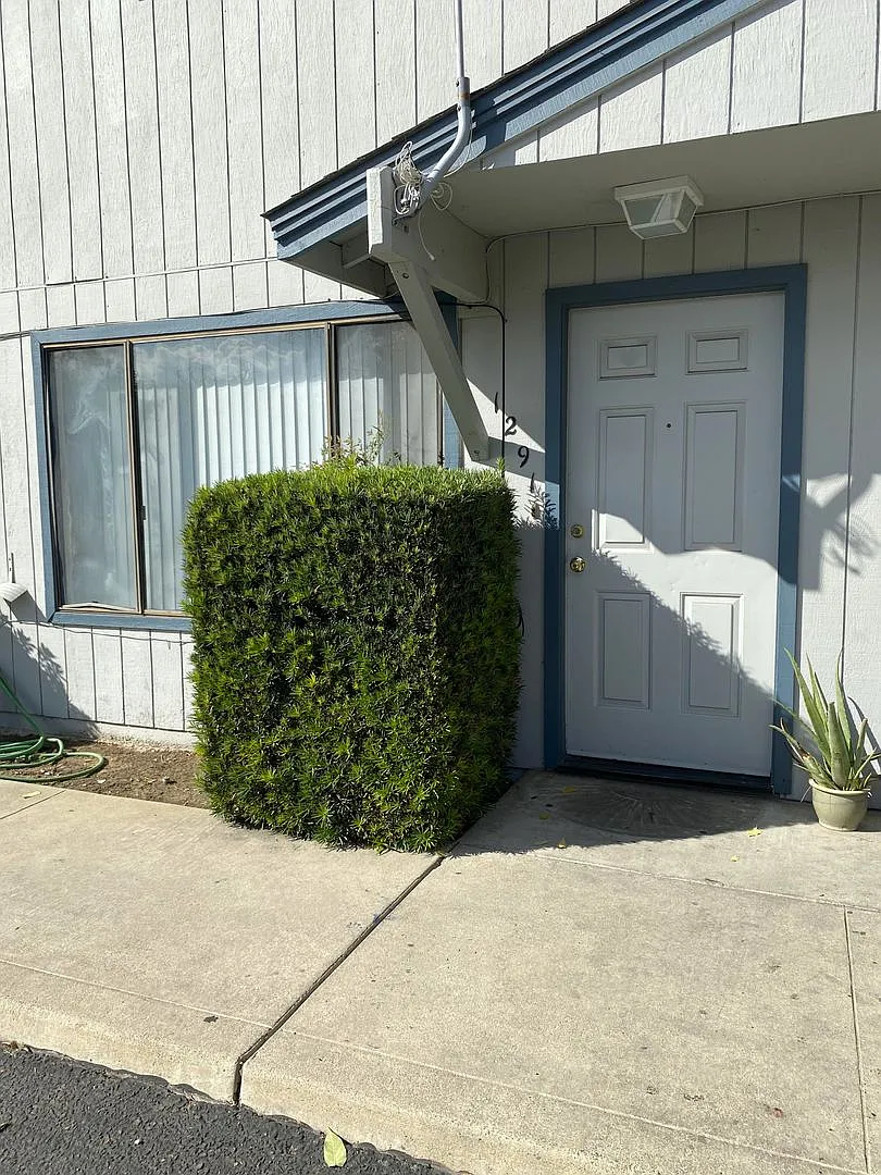 1285elma — Photo 2