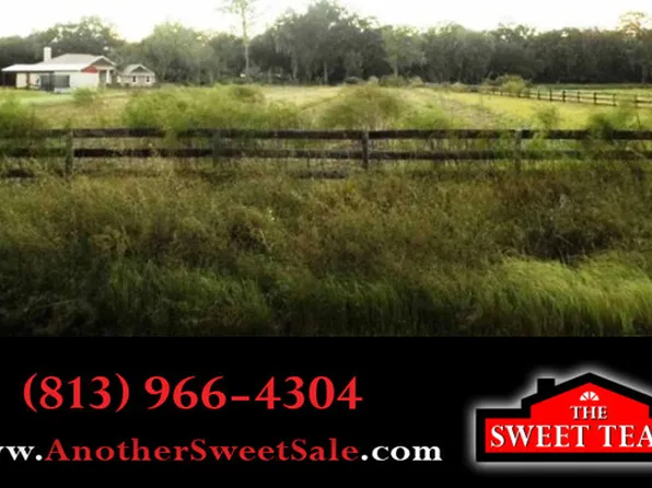 4801 Sleepy Hollow Ln, Plant City, FL 33565