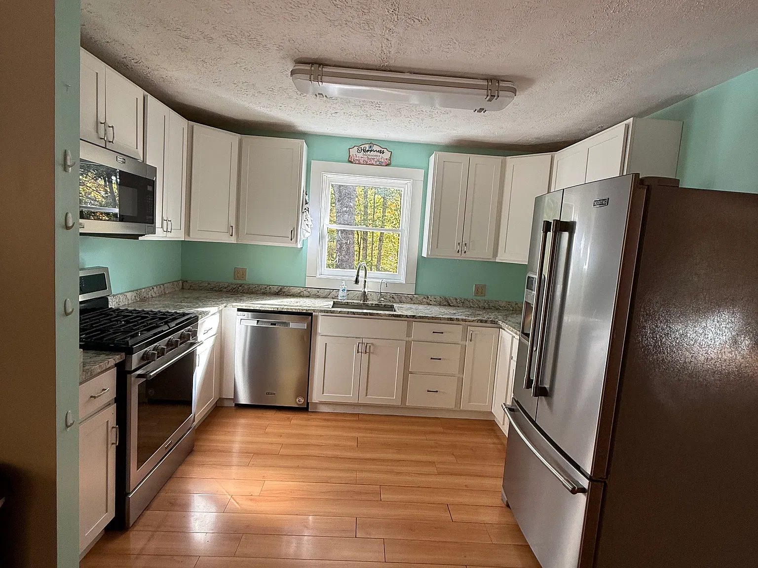 Pauline Ln, Hollis Center — Photo 2