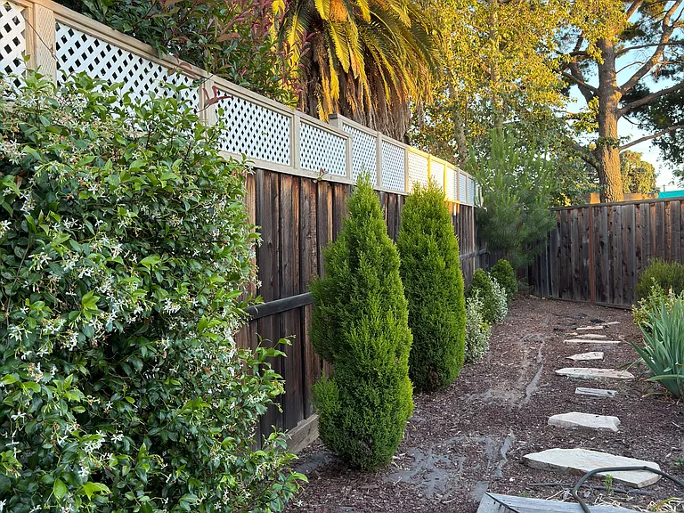 805 Caribbean Ct #1 — Photo 8