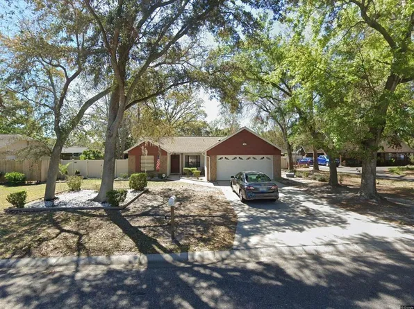 1917 Dove Field Pl, Brandon, FL 33510