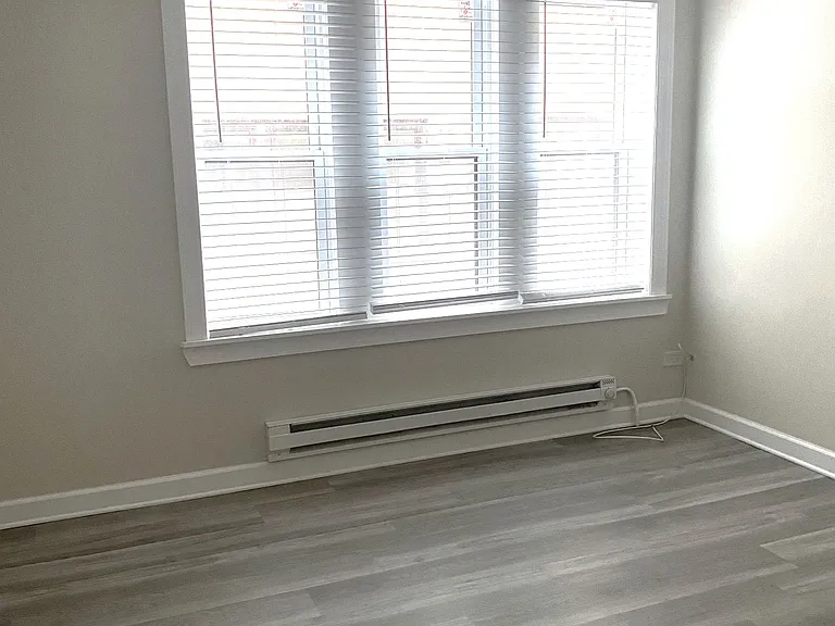 839 W Cornelia Ave #1S — Photo 3