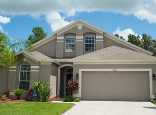 6821 Bluff Meadow Ct, Wesley Chapel, FL 33545
