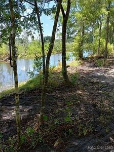 7966 E Leaf Ct, Inverness, FL, 34453