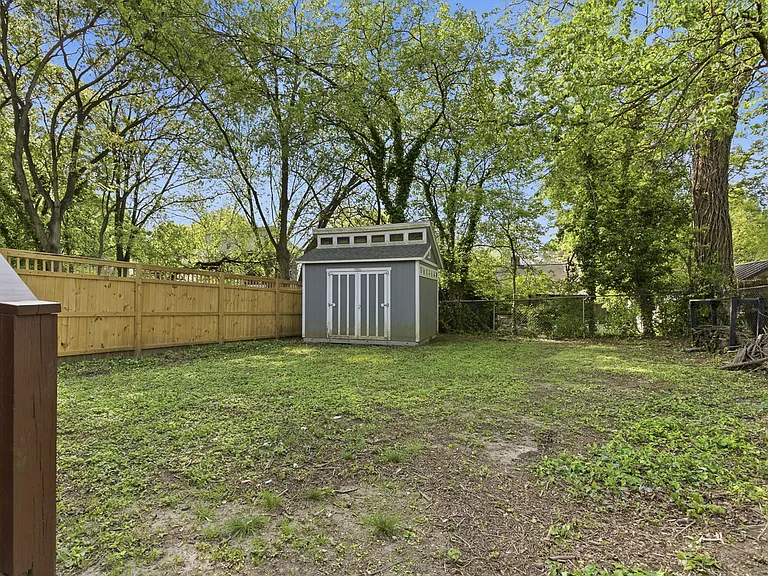back yard