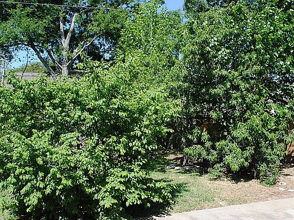 4th image of 414 Coppersmith Dr