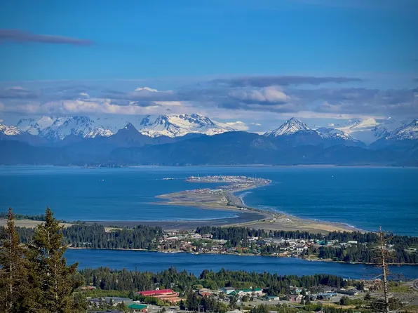 229 Tulin Bluff West Ct, Homer, AK 99603