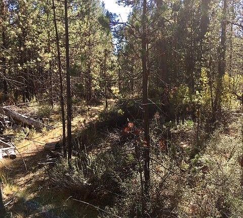 2nd image of 55392 Big River Dr
