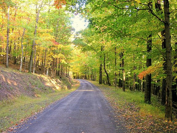 Typical Preserve road