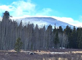 162 Thickspike Rd, Fairplay, CO 80440