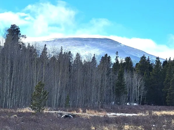 162 Thickspike Rd, Fairplay, CO 80440