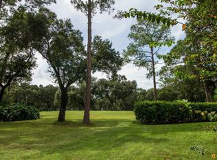 30 Pinewood Ct, Palm Harbor, FL 34685