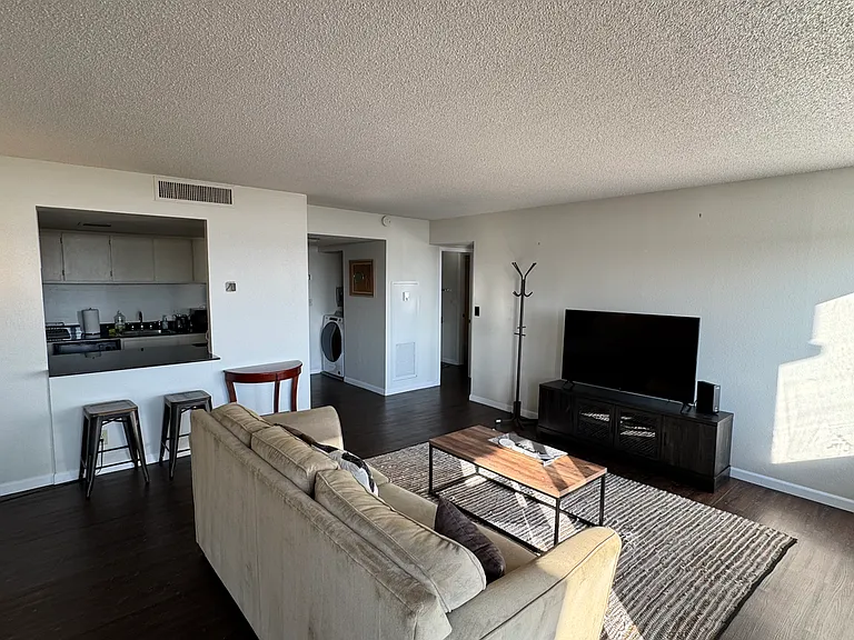 450 W 7th St #907 — Photo 3