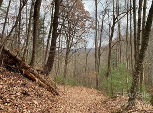 1865 Hopis Branch Rd, Hot Springs, NC 28743