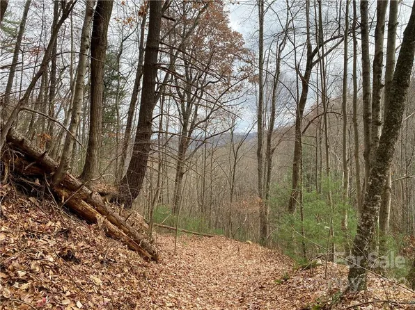 1865 Hopis Branch Rd, Hot Springs, NC 28743