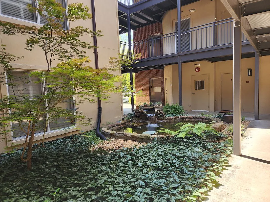 1 bed, 1.0 bath, 915 sqft, $1,500 — Photo 2