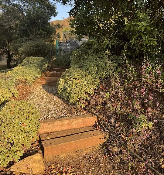 25202 Piuma Rd — Photo 47