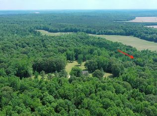 1770 Robinson Levee Rd, Mc Kenzie, TN 38201