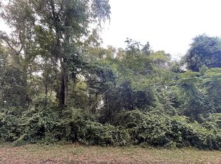 SE Fifty Avenue Rd LOT 2, Belleview, FL 34420