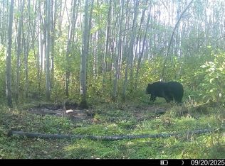 4 Government Rd, Mellen, WI 54546