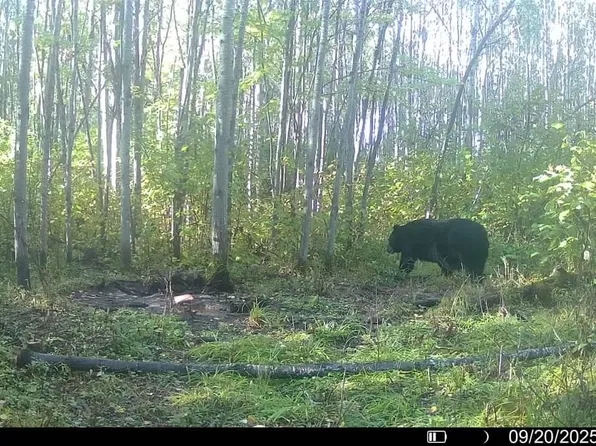 4 Government Rd, Mellen, WI 54546