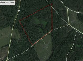 Smith Creek Road Tract - 53.76 Acres, Bartow, GA 30413