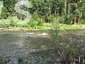 1st image of LOT 6 Blk 1 Elk Valley Subdivision #2