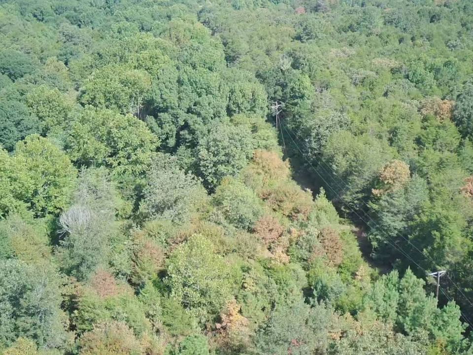 1st image of 11-8-27 Windsong Way