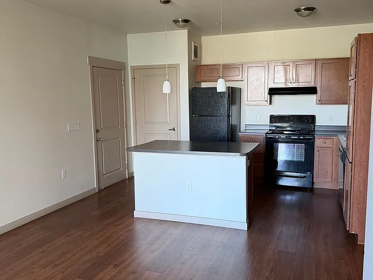 1305 N Peoria St — Photo 42